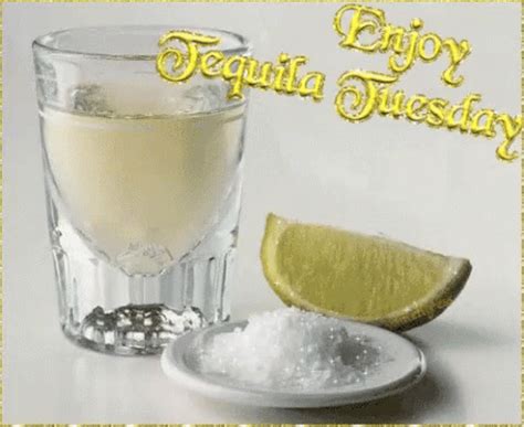 tequila gif|tequila gif funny.